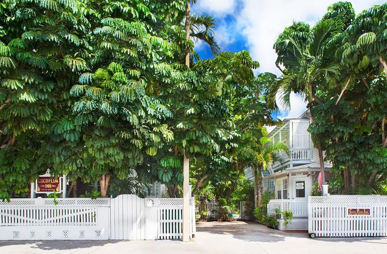 Coco Plum Bed and breakfast